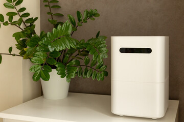 Humidifier in the room near the green plant in the interior. Health care, air humidification