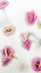Flores y rosas con gotas y agua. 