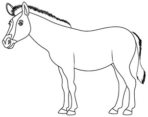 Horse Cartoon Outline