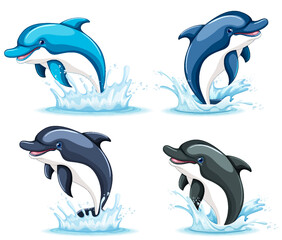 Obraz premium Four Dolphins Smiling