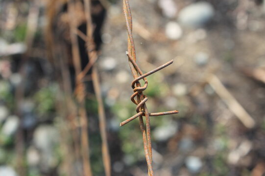 spike, scary border with spikes , scary rotten spike picture on blurry background