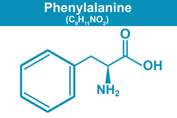Chemistry illustration of Phenylalanine in blue