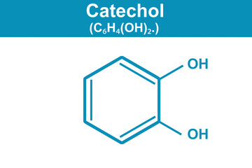 Chemistry illustration of Catechol C6H4(OH)2 in blue