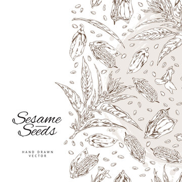 Vector template background with outline sketch drawing sesame plant with leaves, capsules, seeds and flowers