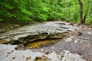 Pool of water under exposed limestone rock in dried up riverbed in lush green forest