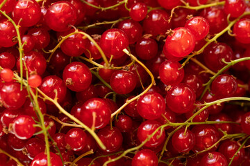 red cherries background. Fruits. Background. Food. Vitamin 