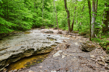 Forest thriving beside dry limestone riverbed with small murky pool of water under rocky outcropping