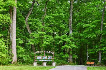 Tall looming trees over signage, forest woods woodland path, summer green leaves