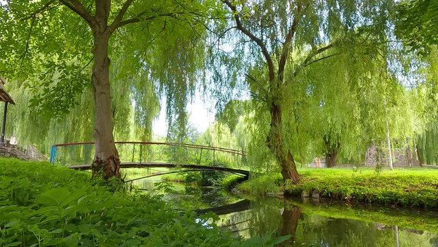 Fresh green view of Seret river. Calm morning scene of Topilche Park in Ternopil town, Ukraine, Europe. Beauty of nature concept background. 4K video (Ultra High Definition).