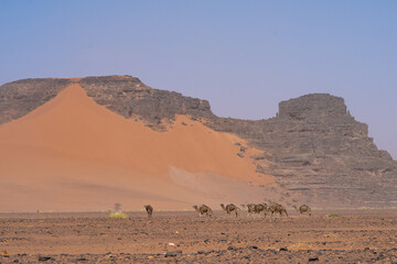view in the Sahara desert of Tadrart rouge tassili najer in Djanet City  ,Algeria.colorful orange sand, rocky mountains