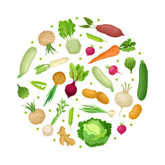 Fresh Organic Vegetables Round Composition Design Vector Template