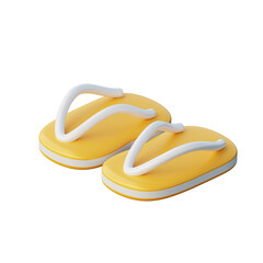 3D Slipper Illustration
