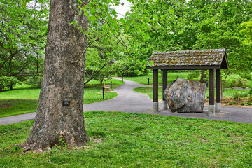 Wide shot of moss covered roof tiles over giant boulder and large tree nearby along forest path