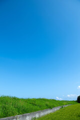 夏休みの土手を散歩