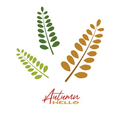 Autumn acacia leaves vector illustration.  Autumn  leaves design template for decoration, sale banner, advertisement, greeting card and media content. Autumn concept. Flat vector isolated on white.