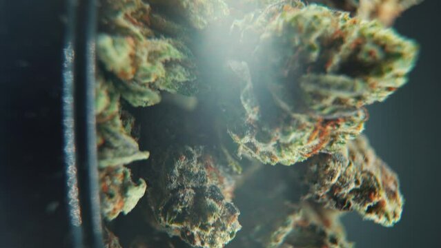 A vertical macro cinematic detailed shot of a cannabis plant, hybrid strains, Indica and sativa ,marijuana flower, on a rotating stand, black shiny bawl, slow motion, 4K video, dark studio lighting