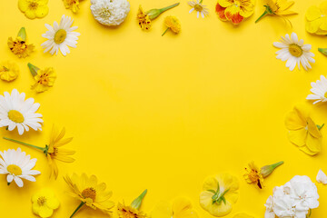 Assorted flowers on yellow backdrop