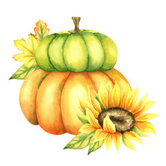 Orange and green pumpkins, sunflower and autumn leaves . Farm organic autumn vegetables. Autumn decoration. Isolated. Watercolor illustration. Perfect for thanksgiving and halloween cards or posters