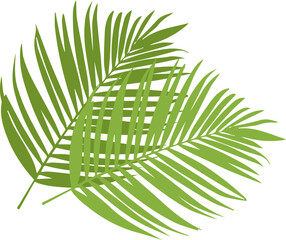 Traditional Sukkah for the Jewish Holiday Sukkot. Tropical palm tree leaves for Jewish sukkah