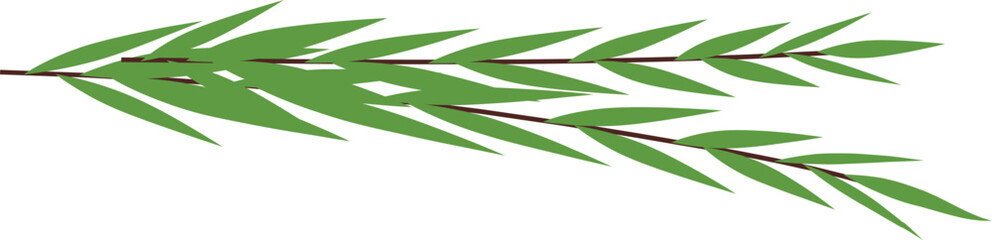 Four species, arava, Jewish traditional symbol of Sukkot holiday. Jewish religious tradition © jennylipmic