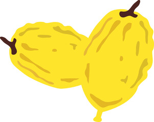 etrog, Jewish traditional symbol of Sukkot holiday. Four species , Jewish religious tradition