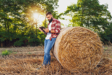 Naklejka na ściany i meble Farmer is standing beside bales of hay. He is examining straw after successful harvesting.