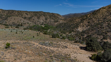 Fototapeta na wymiar Goldhill Campground, Alamo Mountain, Los Padres National Forest