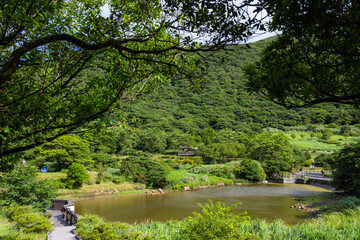 Hiking trail in the forest with water pond