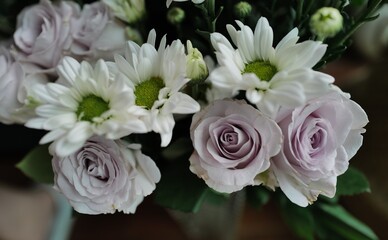 bouquet of white flowers, daisy