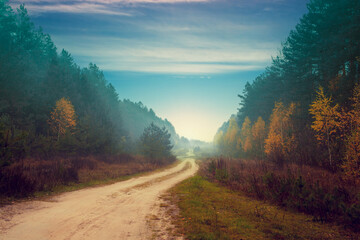 Rural autumn landscape, misty morning, dirt road among forest