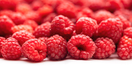 Fresh picked organic raspberries close-up