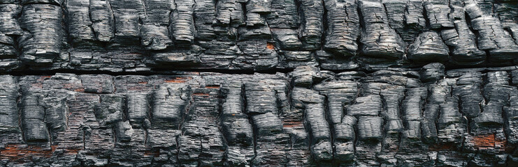 Burnt board background and texture. Panorama. Banner.	