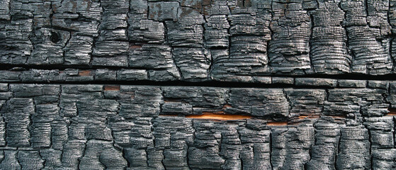 Burnt board background and texture. Panorama. Banner.	