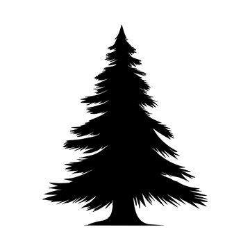 Fir Christmas tree silhouette. Vector illustration