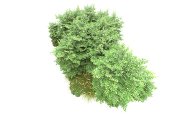 Obraz premium Green landscape isolated on transparent background. 3d rendering - illustration