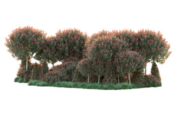 Fototapeta premium Green landscape isolated on transparent background. 3d rendering - illustration