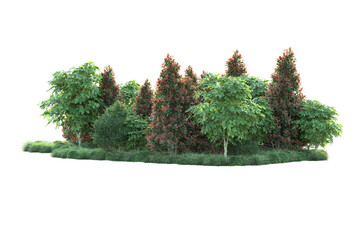 Fototapeta premium Green landscape isolated on transparent background. 3d rendering - illustration