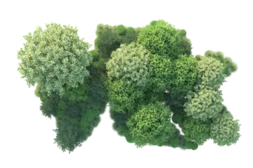 Foto op Plexiglas Green landscape isolated on transparent background. 3d rendering - illustration © Cristian