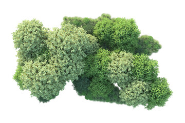 Green landscape isolated on transparent background. 3d rendering - illustration