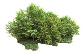 Obraz premium Green landscape isolated on transparent background. 3d rendering - illustration