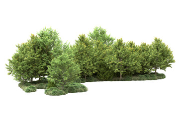 Obraz premium Green landscape isolated on transparent background. 3d rendering - illustration