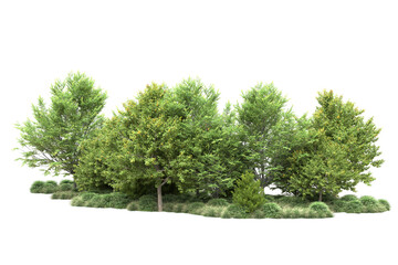 Obraz premium Green landscape isolated on transparent background. 3d rendering - illustration