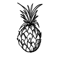 Pineapple Ananas (hand drawn/black pencil/transparent PNG)