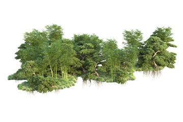 Fototapeta premium Green landscape isolated on transparent background. 3d rendering - illustration