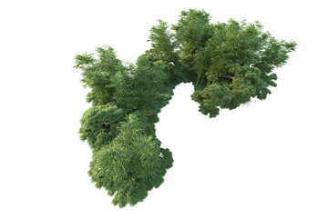 Obraz premium Green landscape isolated on transparent background. 3d rendering - illustration