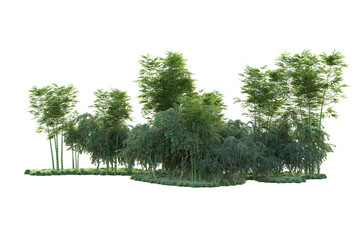 Green landscape isolated on transparent background. 3d rendering - illustration