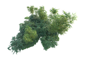 Fototapeta premium Green landscape isolated on transparent background. 3d rendering - illustration