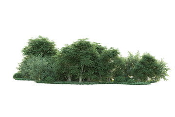 Green landscape isolated on transparent background. 3d rendering - illustration
