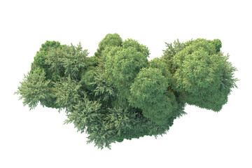 Fototapeta premium Green landscape isolated on transparent background. 3d rendering - illustration