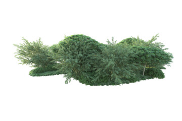 Green landscape isolated on transparent background. 3d rendering - illustration